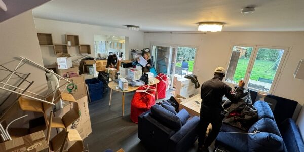 Mission déménagement - trier désencombrer catégoriser aménager esprit libre