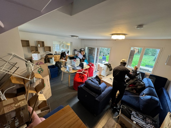 Mission déménagement - trier désencombrer catégoriser aménager esprit libre